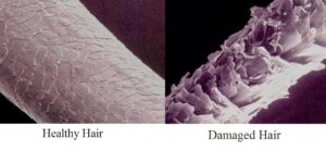 Healthy hair vs damaged hair