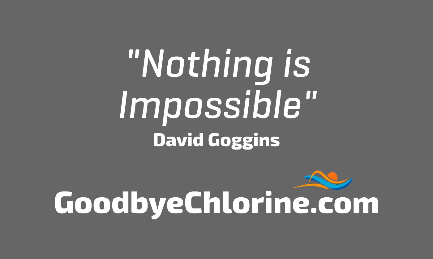 gogoggins nothing is impossible