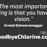 Arnold Schwarzenegger, vision success