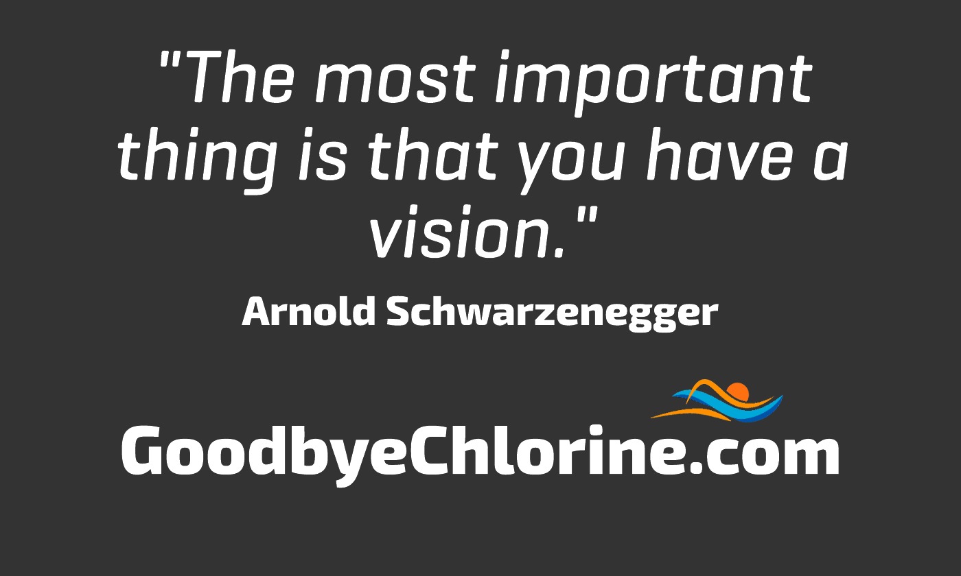 Arnold Schwarzenegger, vision success